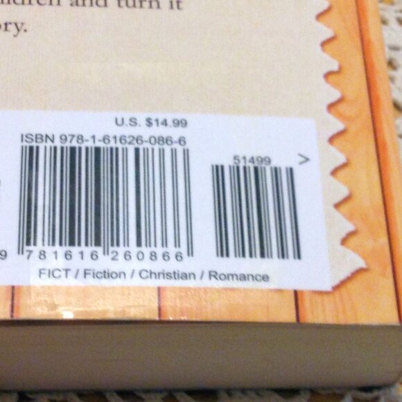 Amish romance The Tattered Quilt Wanda Brunstetter - Picture 4 of 6